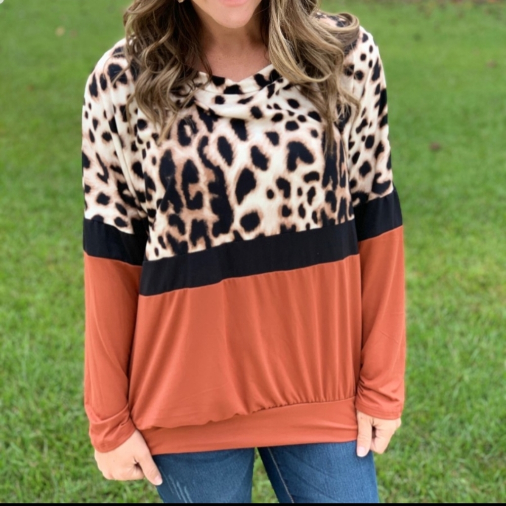 New Brushed Fabric Animal Print Color Blocked Top